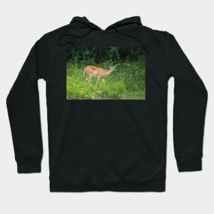 Oh Deer Hoodie